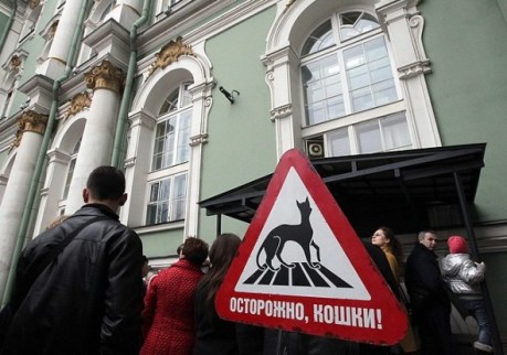 1335088253542__nicaws_nicawscache_16974590hr-590x414