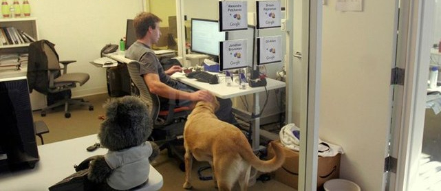 dog-friendly-compaies (1)