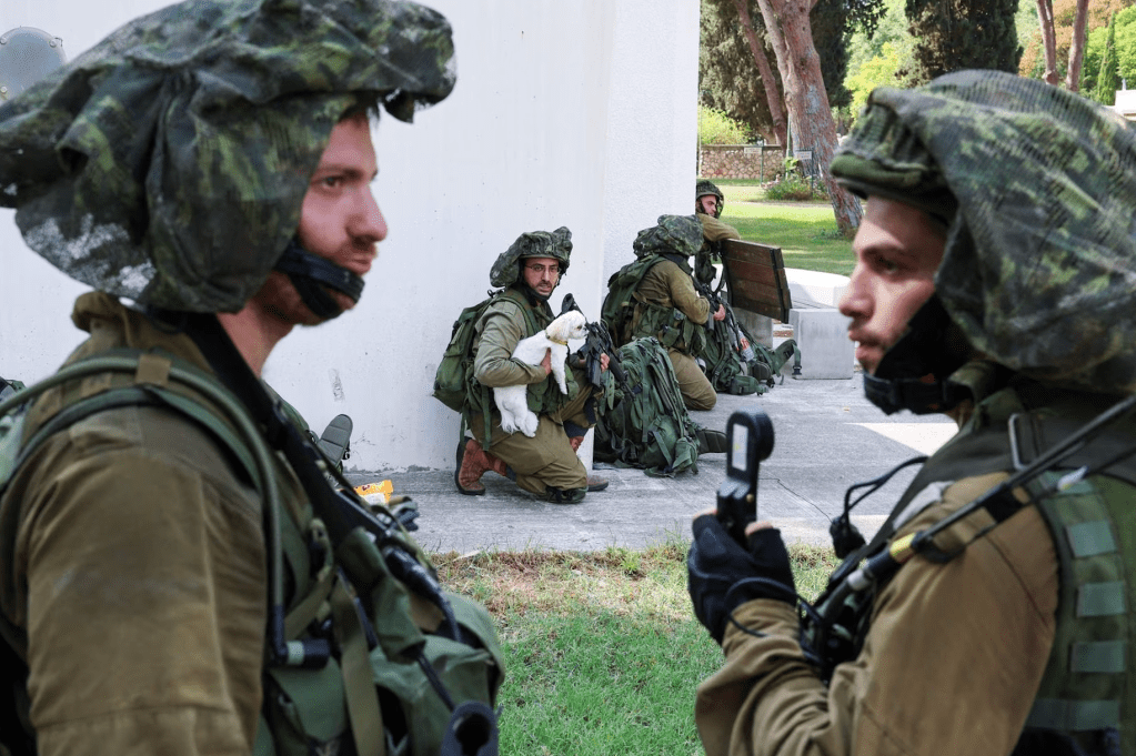 A los perros ?&nbsp;…también.